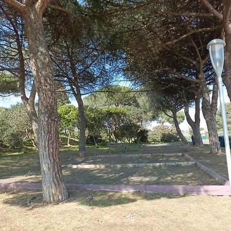 דירות אגדה Lara 3 - T2 Loggia Piscine 2 Lits Doubles Parking Pres Du Centre-Port Et Ile Loisirs מראה חיצוני תמונה